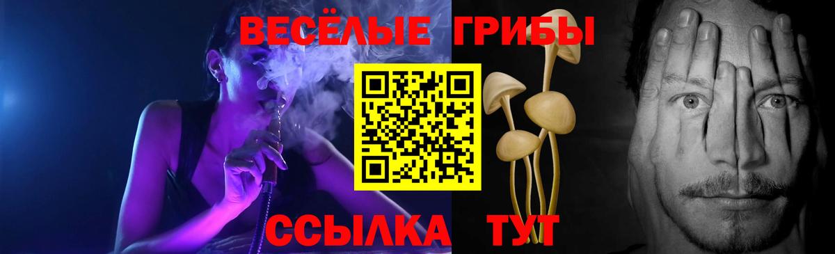 Псилоцибиновые грибы Cubensis  Вход с VPN  Чебоксары  Псилоцибиновые грибы Magic Shrooms 